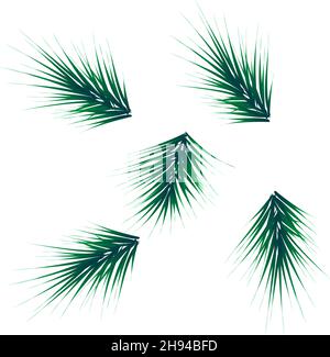 Collection de branches de sapin réalistes pour sapin de Noël, pin.Vecteur Illustration de Vecteur