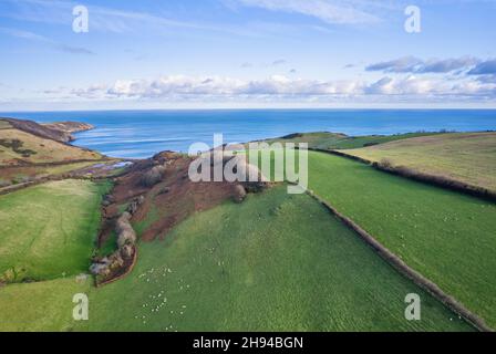 Terres agricoles au-dessus de Man Sands, Brixham, Kingswear, Devon, Angleterre Banque D'Images