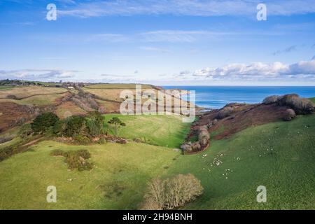 Terres agricoles au-dessus de Man Sands, Brixham, Kingswear, Devon, Angleterre Banque D'Images