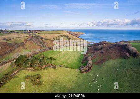 Terres agricoles au-dessus de Man Sands, Brixham, Kingswear, Devon, Angleterre Banque D'Images