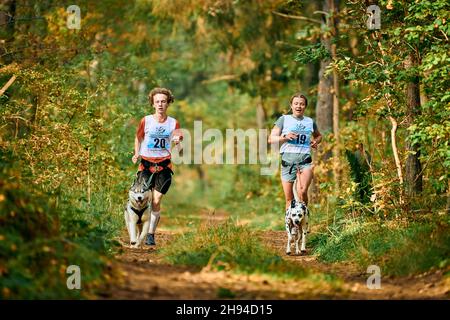 Svetly, oblast de Kaliningrad, Russie - 2 octobre 2021 - Canicross-country en course avec des chiens, des mushers sportifs en course avec Husky sibérien et Dal Banque D'Images