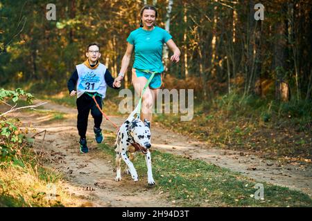 Svetly, oblast de Kaliningrad, Russie - 2 octobre 2021 - exercices de Canicross, mère et son fils courant tenant les mains attachées au chien dalmatien, canicr Banque D'Images