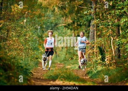 Svetly, oblast de Kaliningrad, Russie - 2 octobre 2021 - Canicross-country en course avec des chiens, des mushers sportifs en course avec Husky sibérien et Dal Banque D'Images