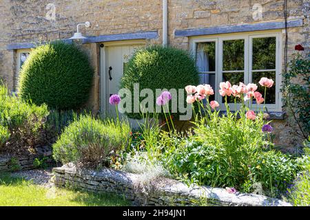 Un jardin traditionnel en pierre dans le village Cotswold de Withington, Gloucestershire Royaume-Uni Banque D'Images