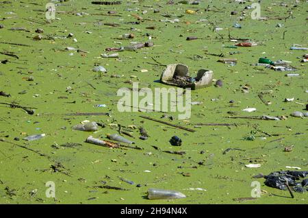 Les déchets dans la rivière Banque D'Images