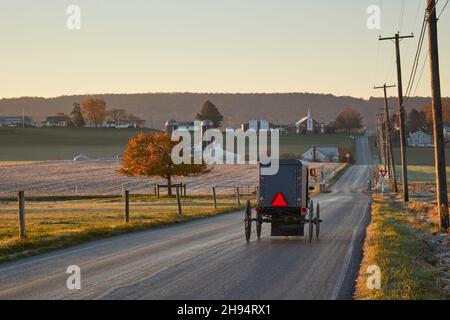 Un cheval Amish et une poussette sur une route de campagne à l'aube, pays Amish, Churchtown, comté de Lancaster, Pennsylvanie,ÉTATS-UNIS Banque D'Images