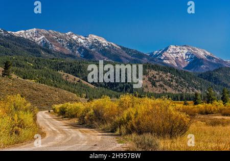 Wyoming Range Peaks, arbustes à saule, lit de rivière Grays, route de la rivière Grays (FR 10138), en automne, forêt nationale de Bridger Teton, Wyoming, États-Unis Banque D'Images