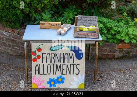 Une table non habitée, assise près de la route, avec des œufs, des fruits et des légumes provenant des allotissements de Farnham à vendre pour couvrir la facture d'eau.Dorset, Angleterre. Banque D'Images