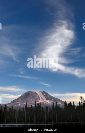 WA20487-00....WASHINGTON - Mount Adams vue depuis la forêt nationale de Horseshoe Lake Gifford Pinchot. Banque D'Images