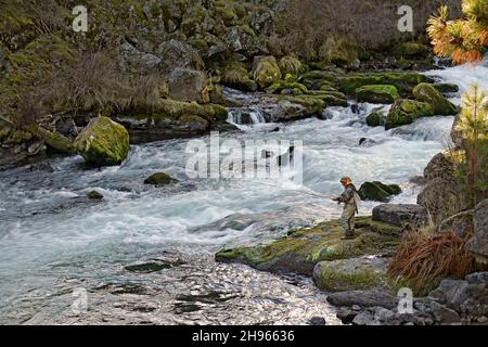 Un homme pêche à la mouche le long d'une section de Dillon Falls sur la rivière Deschutes, dans le centre de l'Oregon, près de la ville de Bend. Banque D'Images