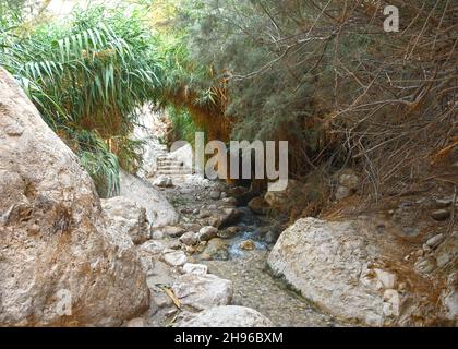 David Wadi Trail, Ein Gedi, Israël Banque D'Images