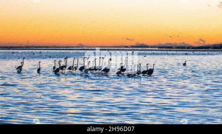 Flamants sur le lac coucher de soleil huile peinture pastel toile Banque D'Images