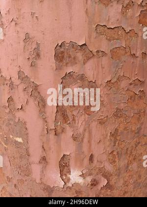 texture en acier peint brun éraflée et rouillée, utile pour l'arrière-plan Banque D'Images