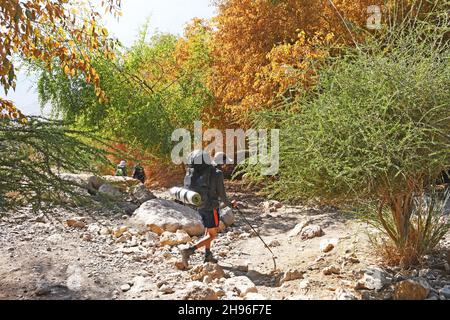 Randonneurs dans la réserve naturelle d'Ein Gedi, Israël Banque D'Images