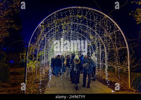 Arc avec lumières scintillantes au Glow 2021, l'événement annuel d'illuminations de Noël au RHS Garden, Wisley, Woking, Surrey Banque D'Images