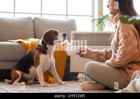 Femme et adorable chien Beagle près du radiateur convector à la maison Banque D'Images