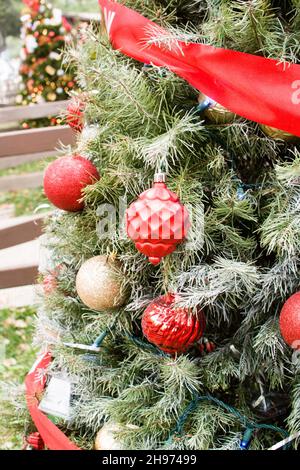 Noël dans le parc, San Jose, 2021.Un Noël très barbe. Banque D'Images