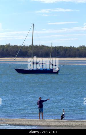 Pêche sous l'œil attentif d'un pélican australien sur la plage de Burrum Heads Fraser Coast Queensland Australie Banque D'Images