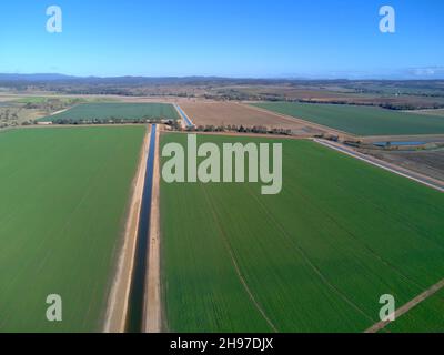 Culture aérienne de luzerne broyée irriguée en grand nombre près de Gin Gin Queensland Australie Banque D'Images