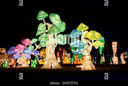 Niagara Falls, le 18 novembre.27 février 2022.Les visiteurs voient les installations de lumière lors du spectacle de lumière international Seasky à Niagara Falls, Ontario, Canada, le 4 décembre 2021.Avec plus de 30 installations lumineuses à DEL magiques sur un sentier illuminé de 1.2 kilomètres, la lanterne et le spectacle de lumière seront ouverts du 18 novembre 2021 au 27 février 2022.Credit: Zou Zheng/Xinhua/Alamy Live News Banque D'Images