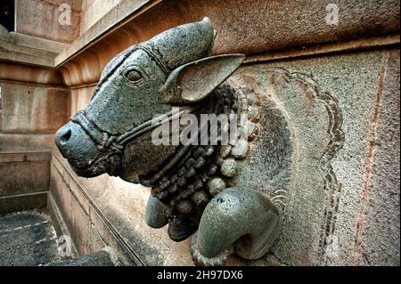 Tête d'une vache sculptée sur le mur du temple à Phalta Banque D'Images