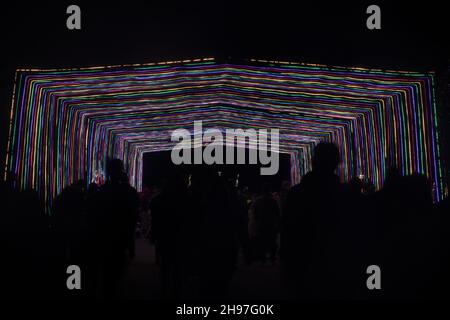 Les gens qui marchent à travers le tunnel de lumières à la fantaisie des lumières de Noël à Los Gatos, Californie. Banque D'Images