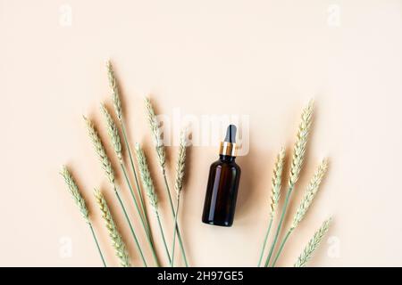 Sérum cosmétique en bouteille de verre brun et épillets de blé sur fond beige clair.Concept de cosmétiques naturels.Vue de dessus, plat, espace de copie Banque D'Images