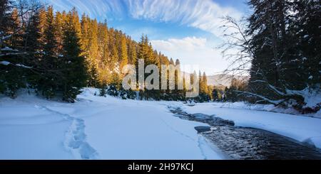 paysage d'hiver avec rivière de montagne. forêt de conifères sur une côte enneigée. paysage merveilleux de la nature dans la lumière de l'après-midi Banque D'Images