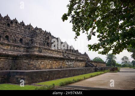 Mur extérieur de l'ancien temple de Borobudur vue de la base du temple avec des arbres en premier plan et en arrière-plan.Personne.Destination touristique populaire. Banque D'Images