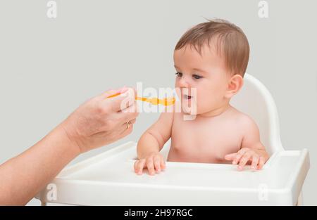 petit repas mignon pour bébé. la main de maman alimente le rabbin d'une cuillère avec une purée d'orange Banque D'Images