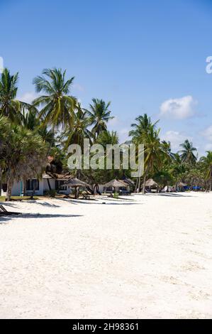 Chalets de plage au milieu des palmiers près de la plage par une journée ensoleillée, Diani, Kenya Banque D'Images