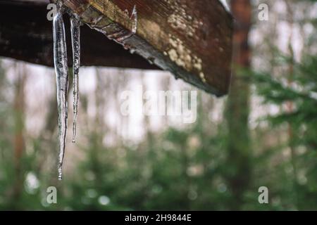 Des glaces d'hiver accrochées à un toit d'une ancienne maison en bois dans la forêt avec de la neige et des sapins Banque D'Images