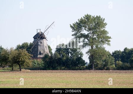 Ancien moulin à vent hollandais à Palczepo, Pologne.10 septembre 2021 © Wojciech Strozyk / Alamy stock photo Banque D'Images