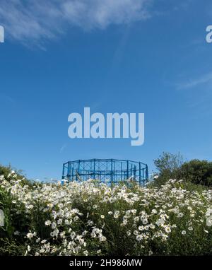 Eastmore Gas Holder Station, Eastbourne, East Sussex, 2014.Vue générale en direction du sud vers les gazporteurs, avec végétation surcultivée entre Horsey Sewer et Hammonds Drive en premier plan. Banque D'Images