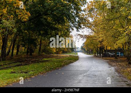 Gdansk, Pologne - octobre 24 2020 : longue route étroite à côté des rails et avec des arbres verts et jaunes Banque D'Images