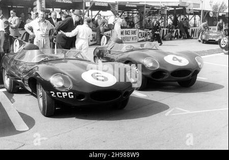 Jaguar D types dans le paddock, RAC Tourist Trophy, Goodwood, Sussex, 1958.La voiture numéro 6, conduite par Duncan Hamilton et Peter Blond est arrivée sixième dans la course, avec la voiture numéro 4 de Masten Gregory et Innes Ireland finissant cinquième. Banque D'Images