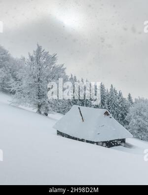 Paysage d'hiver fantastique avec cabine en bois dans la forêt enneigée. Maison confortable dans les montagnes de Carpathian. Concept de vacances de Noël Banque D'Images