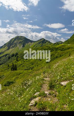 Paysage alpin typique au début de l'été près de Damuls, Vorarlberg, Autriche Banque D'Images