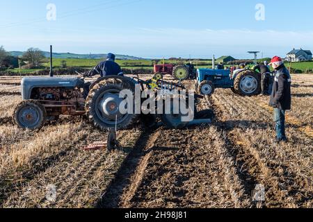 Clonakilty, West Cork, Irlande.5 décembre 2021.La West Cork labour Association a organisé aujourd'hui un match de labour à Clonakilty.Il y a eu un grand nombre de participants et de spectateurs.Crédit : AG News/Alay Live News Banque D'Images