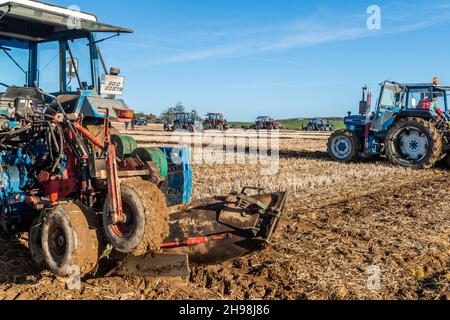 Clonakilty, West Cork, Irlande.5 décembre 2021.La West Cork labour Association a organisé aujourd'hui un match de labour à Clonakilty.Il y a eu un grand nombre de participants et de spectateurs.Crédit : AG News/Alay Live News Banque D'Images