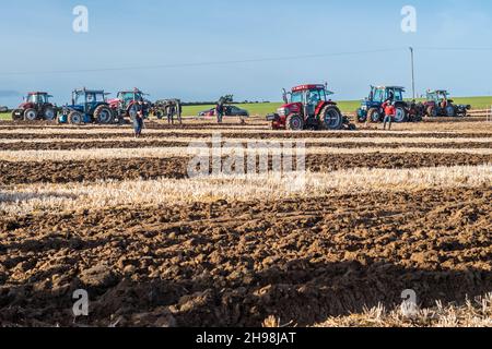 Clonakilty, West Cork, Irlande.5 décembre 2021.La West Cork labour Association a organisé aujourd'hui un match de labour à Clonakilty.Il y a eu un grand nombre de participants et de spectateurs.Crédit : AG News/Alay Live News Banque D'Images