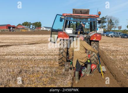 Clonakilty, Cork, Irlande.05e décembre 2021.Patrick O'Donovan de Leap vérifie les exercices que son fils Andrew vient de labourer lors du match de labour de l'association West Cork qui a eu lieu sur la ferme de John Futton, Rocksavage, Clonakilty, Co. Cork, Irlande.- photo; David Creedon Banque D'Images