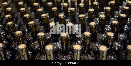 Bouchons de bouteilles de vin avec bouchons, fond doux et focalisé Banque D'Images