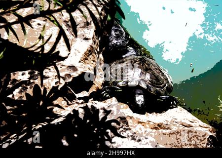 Illustration.Les tortues de mer reposent sur un rocher au bord de l'eau dans un étang du jardin botanique national d'Athènes. Banque D'Images