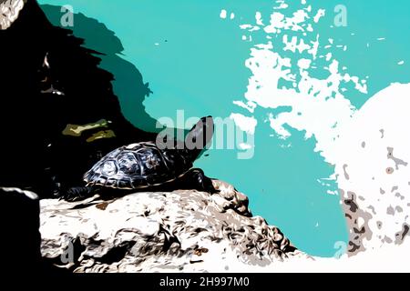 Illustration.Les tortues de mer reposent sur un rocher au bord de l'eau dans un étang du jardin botanique national d'Athènes. Banque D'Images