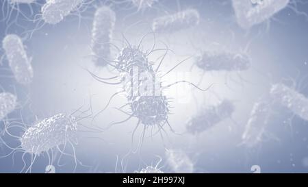 Bactérie Escherichia coli blanche sur fond blanc.Escherichia coli est une bactérie Gram négatif qui fait partie du microbiote intestinal mais de certaines souches Banque D'Images