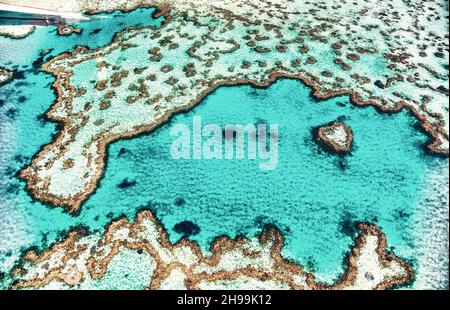 Vue aérienne de Heart Island, Whitsunday Islands Coral Reef of Queensland depuis l'appareil Banque D'Images