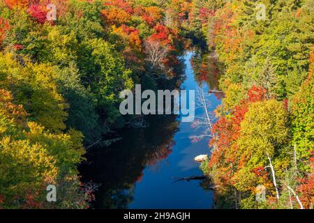 Couleurs d'automne dans les bois du nord près de Big Bay, Upper Peninsula, fin septembre, Michigan, États-Unis,Par Dominique Braud/Dembinsky photo Assoc Banque D'Images