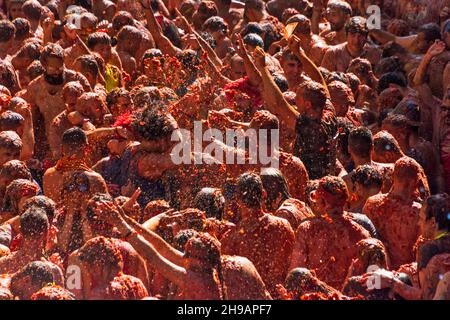 Des gens qui jettent des tomates à la Tomatina (festival de la tomate), Bunol, province de Valence, Espagne Banque D'Images