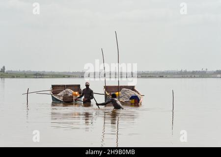 Ouvrier récoltant du sel sur le lac Retba (lac Pink), site classé au patrimoine mondial de l'UNESCO, péninsule du Cap Vert, Sénégal Banque D'Images